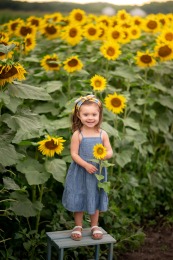 2020-Torres-SunFlower-0047