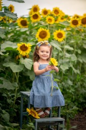 2020-Torres-SunFlower-0096